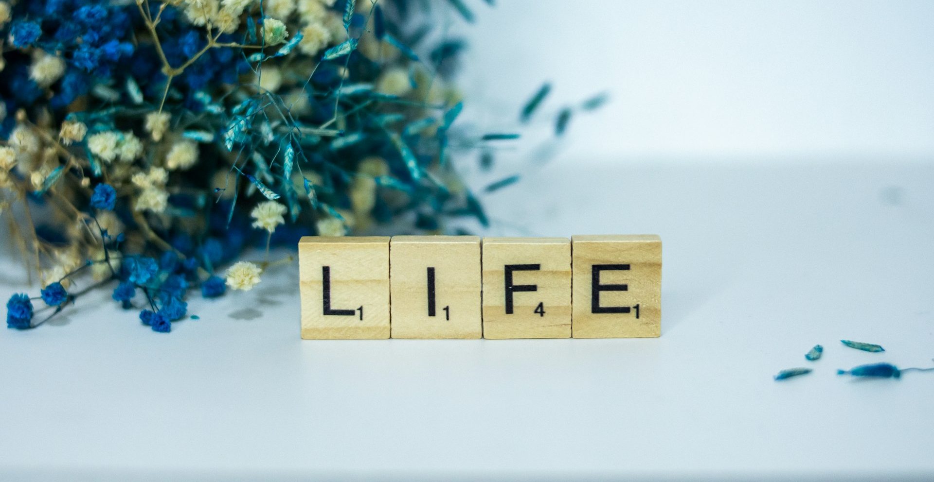Organize Your Life