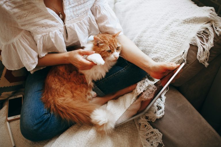 Fool-Proof Ways to Make Self-Care Part