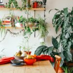 Organization Hacks