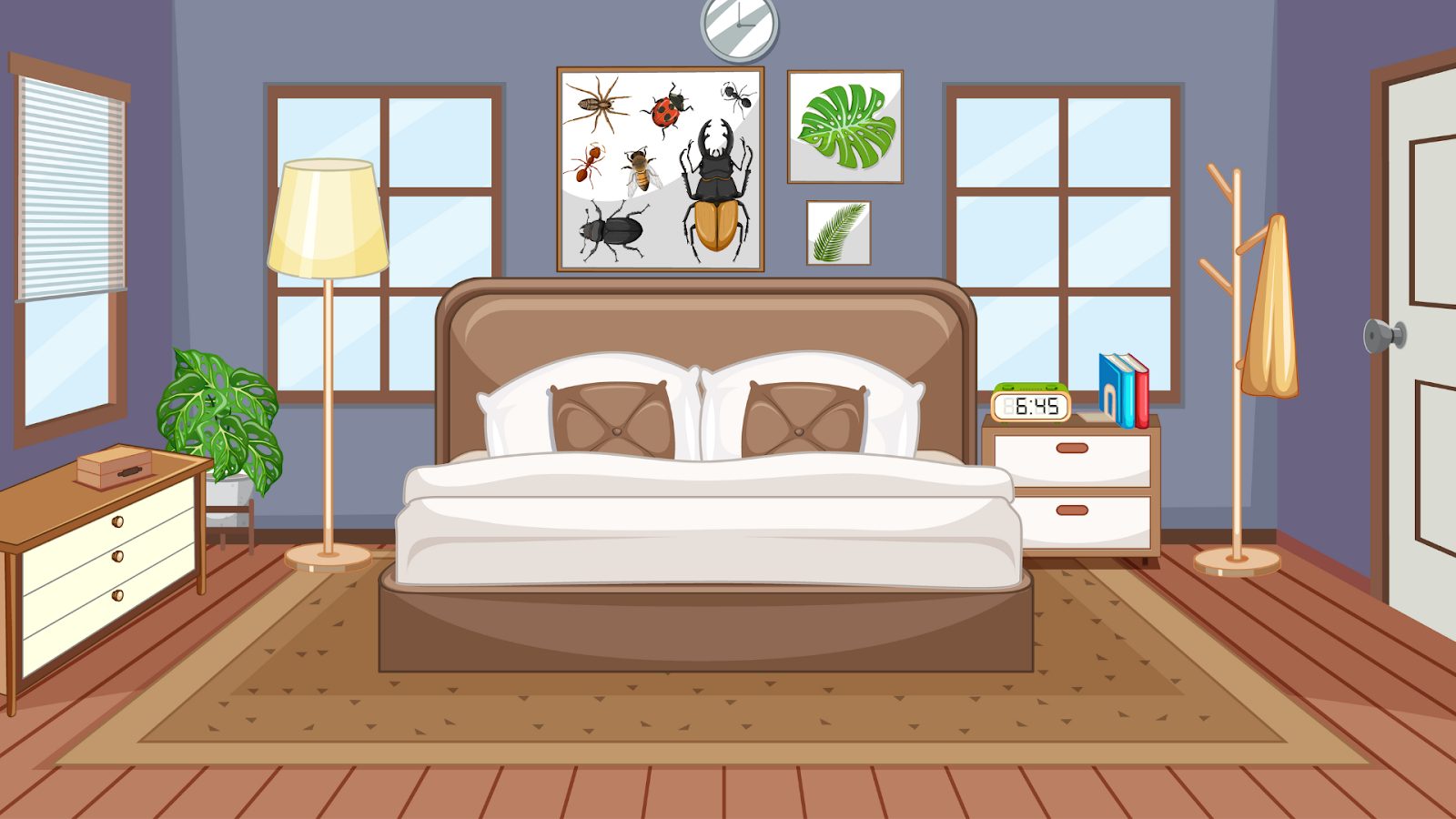 Organization Ideas